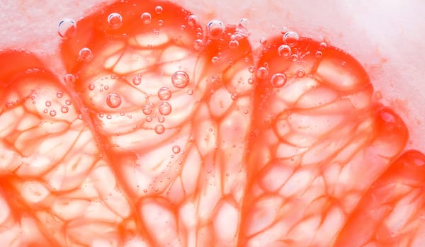 Eating out: a snapshot of FLINTA+ chefs at London's hottest queer restaurants