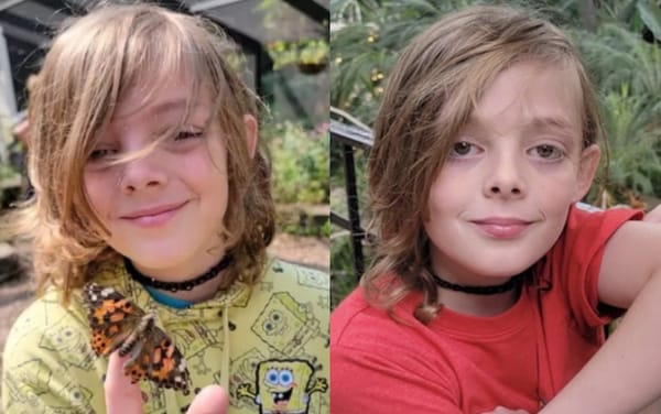 12-year-old boy dies by suicide after suffering homophobic bullying