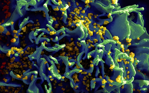 First new strain of HIV discovered in almost 20 years
