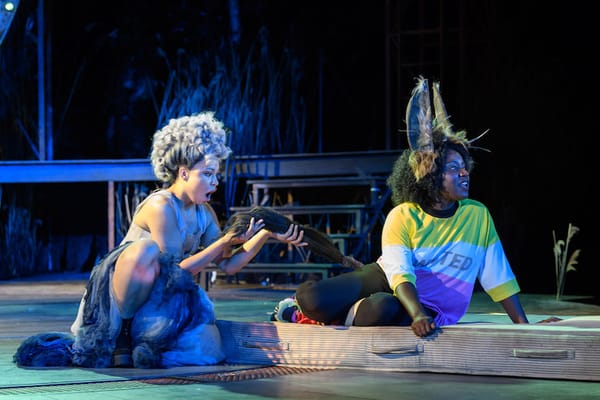 A Midsummer Night’s Dream a wonderfully dark reinterpretation – review