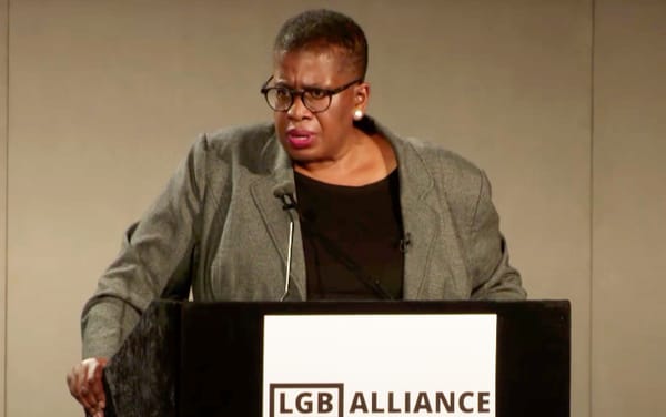 LGB Alliance founder Allison Bailey loses lawsuit against Stonewall