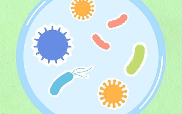 Shigella is an STI increasing among gay and bi men in the UK – but have you ever heard of it?