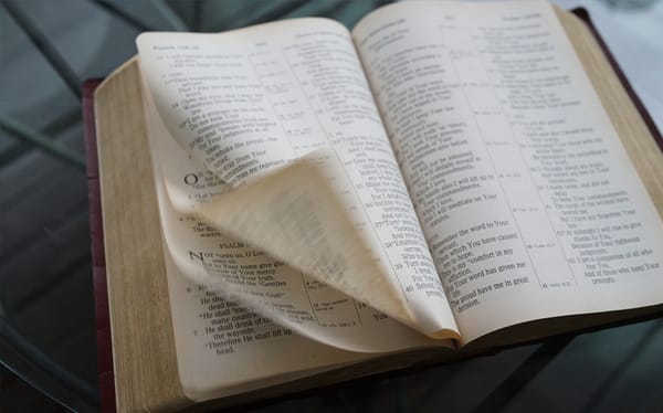 Bible may have originally permitted gay sex, according to leading scholar