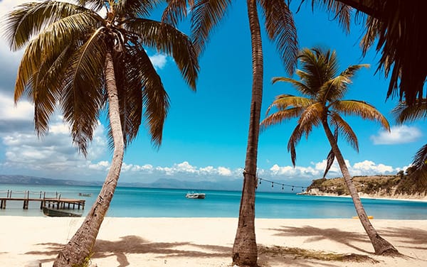 Anti-LGBTQ+ laws cost Caribbean billions in lost business