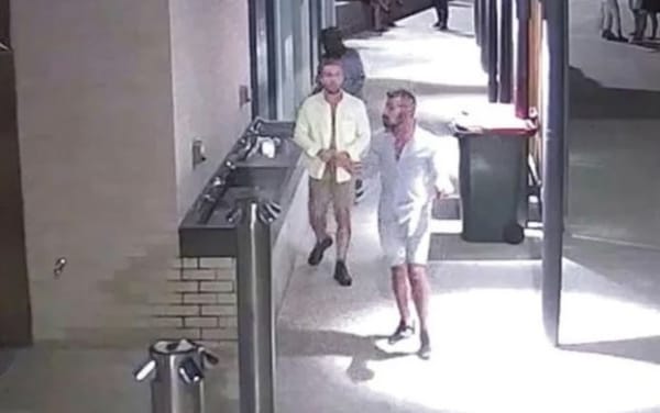 Two straight men pretended to be gay to lure and sexually assault a woman