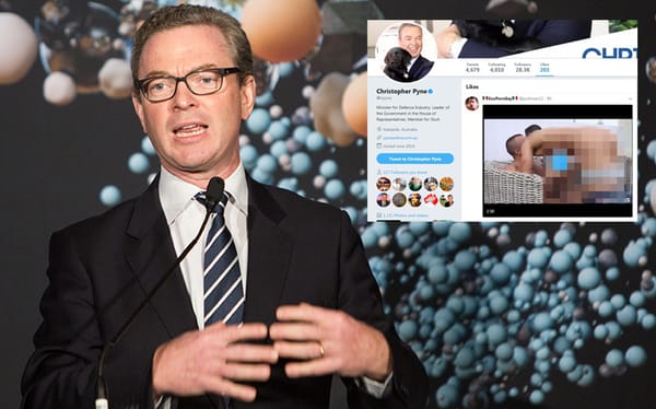 Australian politician blames hacker for ‘liking’ gay porn on his Twitter