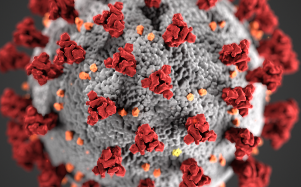 LGBTQ people are more vulnerable to coronavirus for three reasons