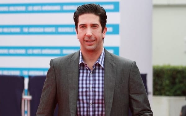 David Schwimmer has been cast as a recurring love interest for the latest season of Will & Grace