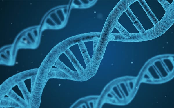 DNA that could be responsible for gender identity has been discovered