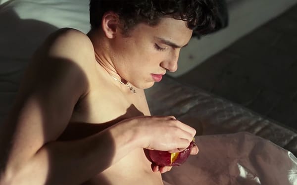 Call Me By Your Name’s author addresses the infamous peach scene