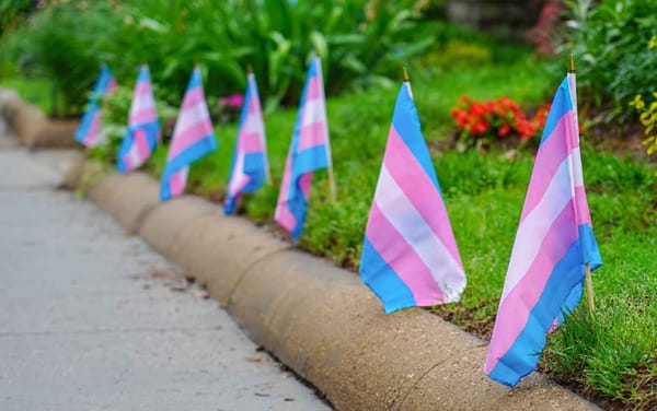 Texas appeals court order blocking an investigation into the parents of trans teen