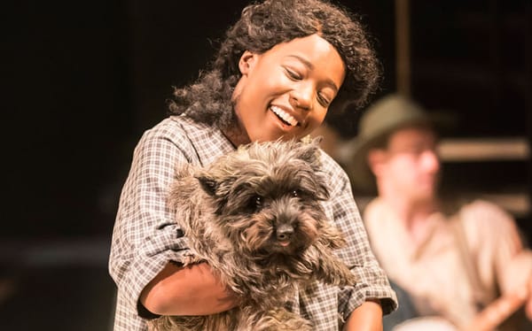 A new Oz rises with this exciting production of The Wizard of Oz – review