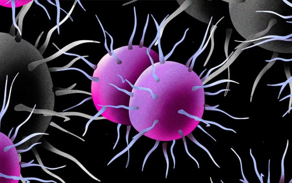 Gonorrhoea: 5 frequently asked questions, answered