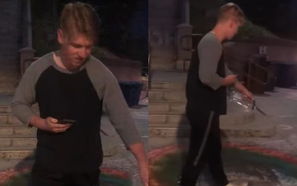Brigham Young University investigates man who damaged LGBTQ+ friendly chalk art