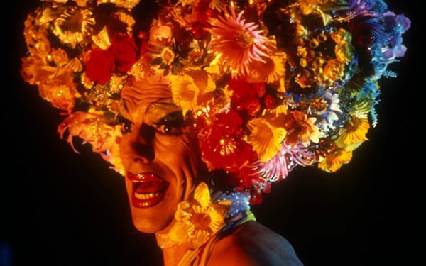 Hugo Weaving teases his idea for a Priscilla, Queen of the Desert sequel
