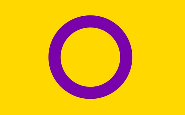 Germany now legally recognises intersex people as change in law comes into effect