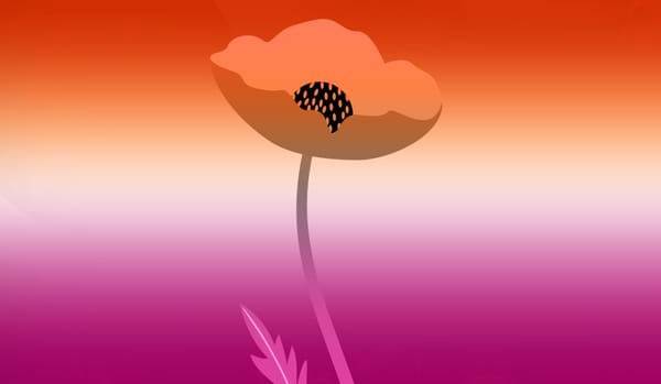 ‘How I became the proud and blossoming lesbian I am today’