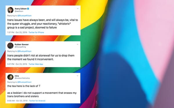 A new ‘lesbian, gay and bisexual alliance’ group is facing backlash for being anti-trans
