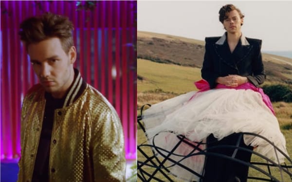 Liam Payne gives Harry Styles full support after comments on iconic Vogue cover