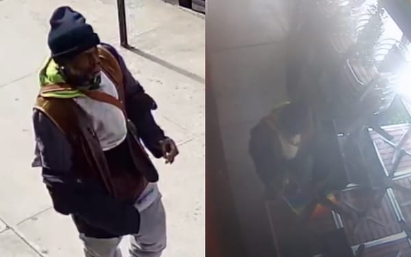 Police search for man caught defecating on Pride flag at NYC bar