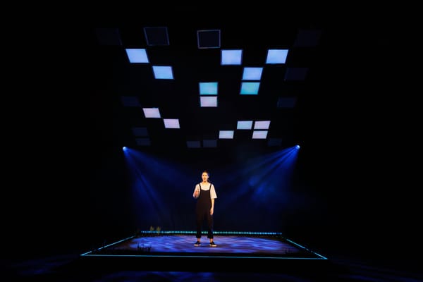 One Woman Show is absolutely sublime theatre – review