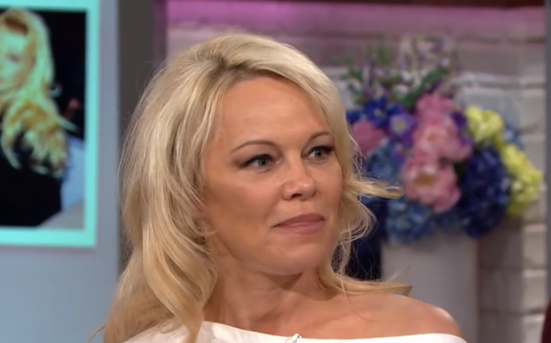 Pamela Anderson believes that Fortnite and YouTube videos are causing asexuality