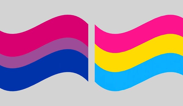 LGBTQ+ 101 – What is the difference between bisexual and pansexual?