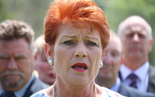 Far-right leader says legalising marriage equality will lead to child marriages