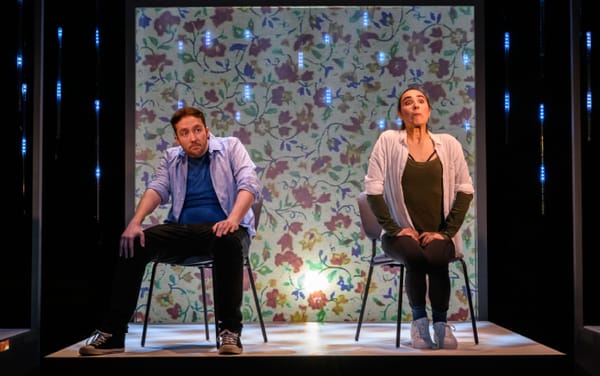 Public Domain is a fun but flawed new musical – review