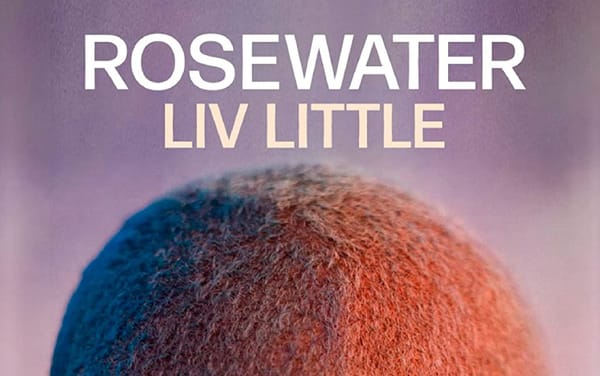 gal-dem founder Liv Little releases “gritty and strikingly bold” debut novel