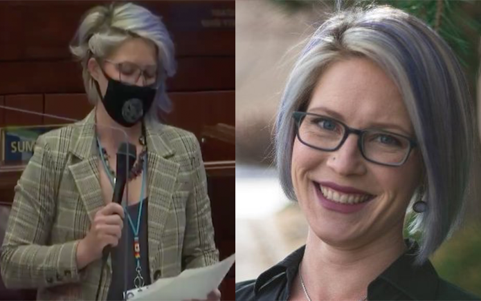 Nevada assemblywoman Sarah Peters comes out as pansexual in powerful speech