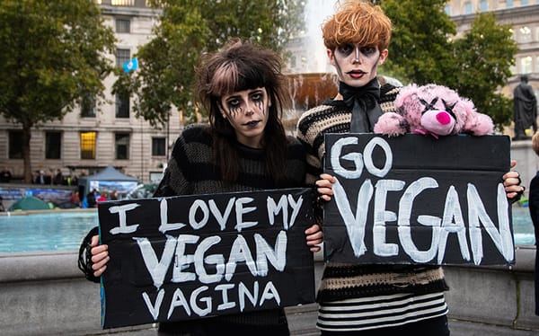 Drag Race UK star Scaredy Kat joins Extinction Rebellion protest in London