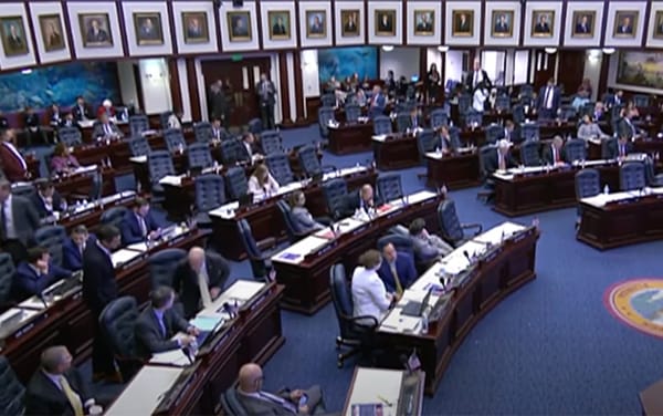 ‘Don’t Say Gay’ amendment forcing schools to out students withdrawn as bill advances further in Florida