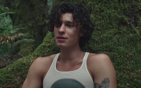 Shawn Mendes addresses ‘desperate and ridiculous’ gay rumours