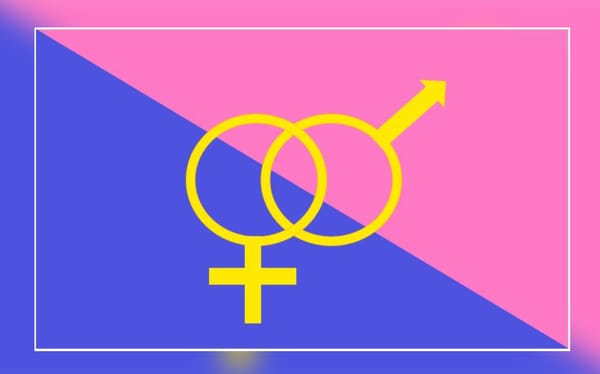 Right-wing bigots are trying to hold their own ‘Straight Pride’ in Boston