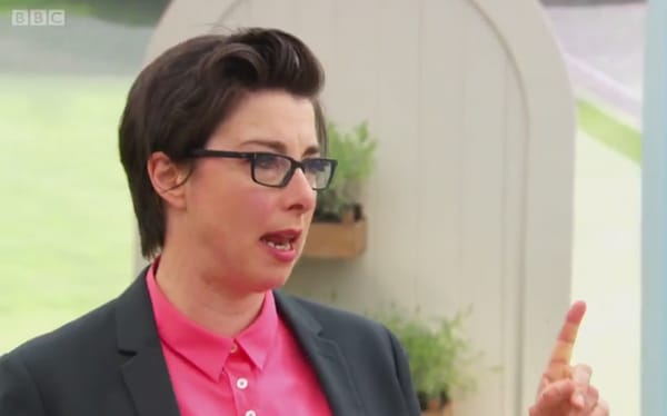 The Great British Bake Off Host Sue Perkins reveals her recent encounter with homophobic abuse