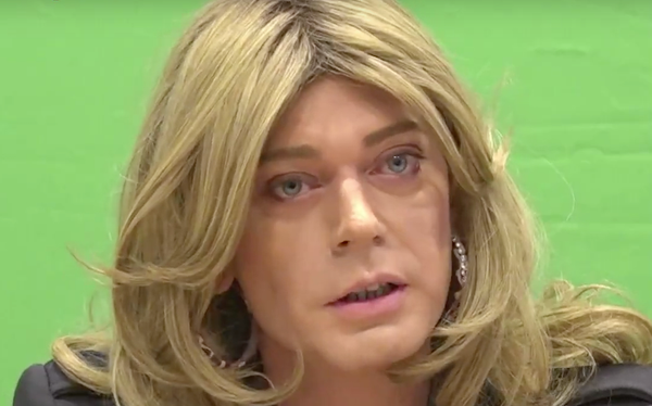 Tessa Ganserer makes history as first transgender MP in Germany