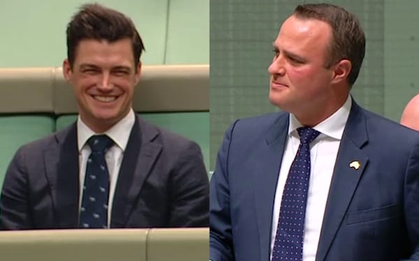 Australian MP proposes to boyfriend during marriage equality debate in parliament