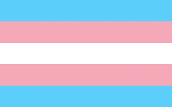 Remembering the 21 trans individuals who have been killed in the US in 2019