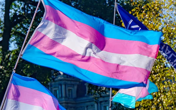 Leaked EHRC guidance suggests trans people could be banned from single-sex spaces based on appearance