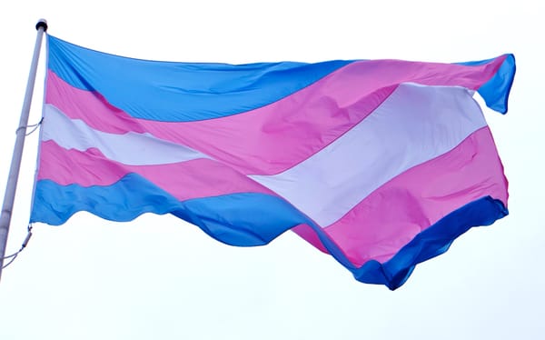 Transgender Nigerians fear proposals to criminalise cross-dressing