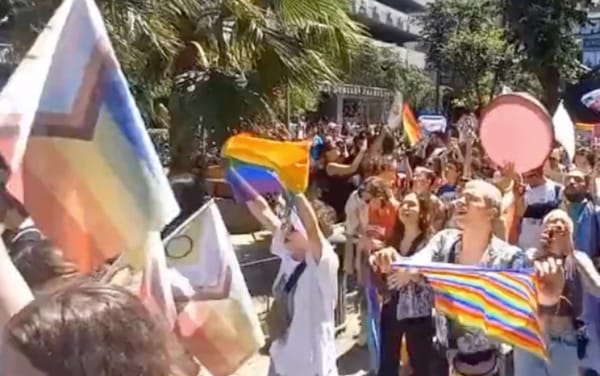 LGBTQ+ activists defy Pride ban and hold annual march in Istanbul