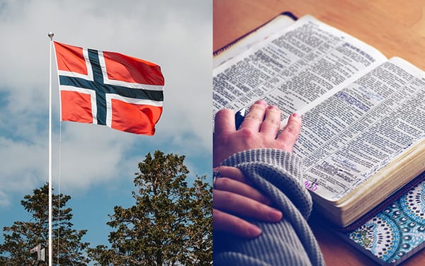 Norwegian dictionaries likely to add gender-neutral pronoun within a year