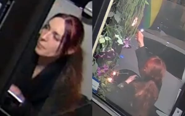 Woman caught setting Pride flag on fire in disturbing CCTV footage
